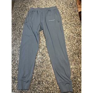 Alphalete Men Activewear Pants Large Blue Joggers Drawstring Zip Pockets L